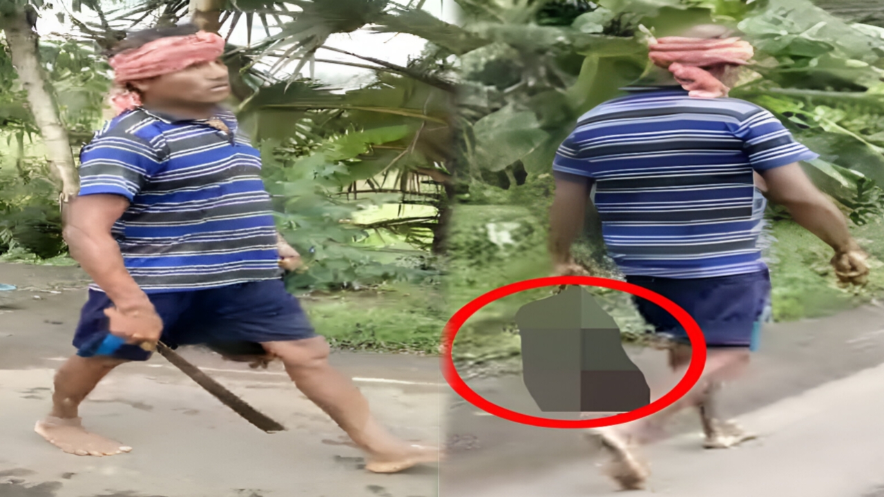 হাতে কাটা মাথা, রাস্তায় হেঁটে বেড়ালো দেওর—বাসন্তীতে গা শিউরে ওঠা ঘটনা