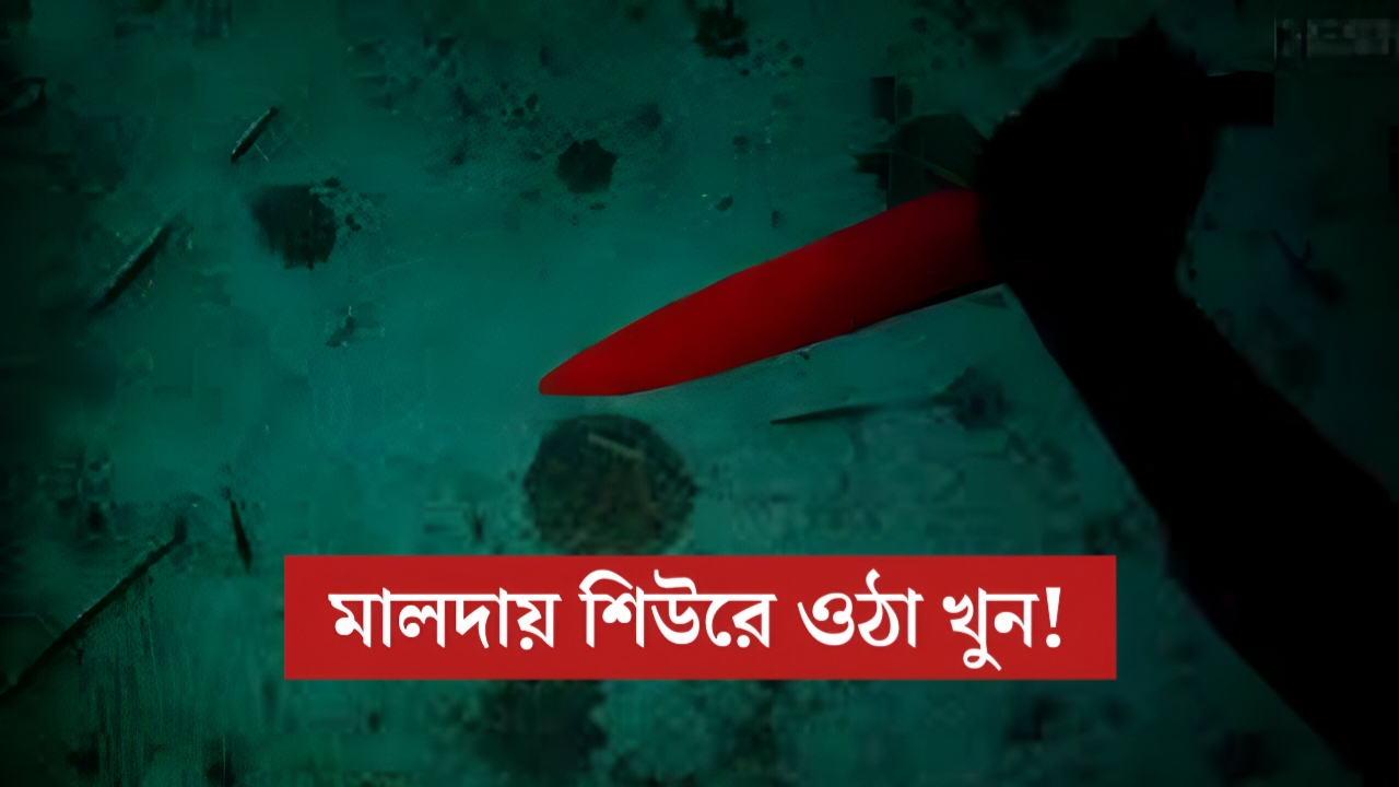 মেঝে খুঁড়তেই মিলল ভাইপোর টুকরো দেহ! পরকীয়া, ব্ল্যাকমেল আর খুনের শিউরে ওঠা কাহিনি মালদায়