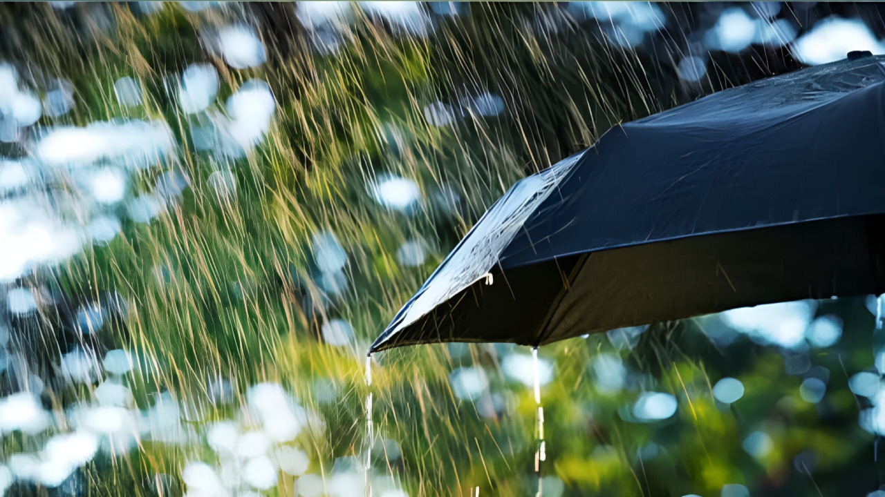 Today's Weather : বৃষ্টি নামবে? নাকি উঠবে আগুনের তাপ! ১০ জুনের আবহাওয়া নিয়ে সতর্কতা